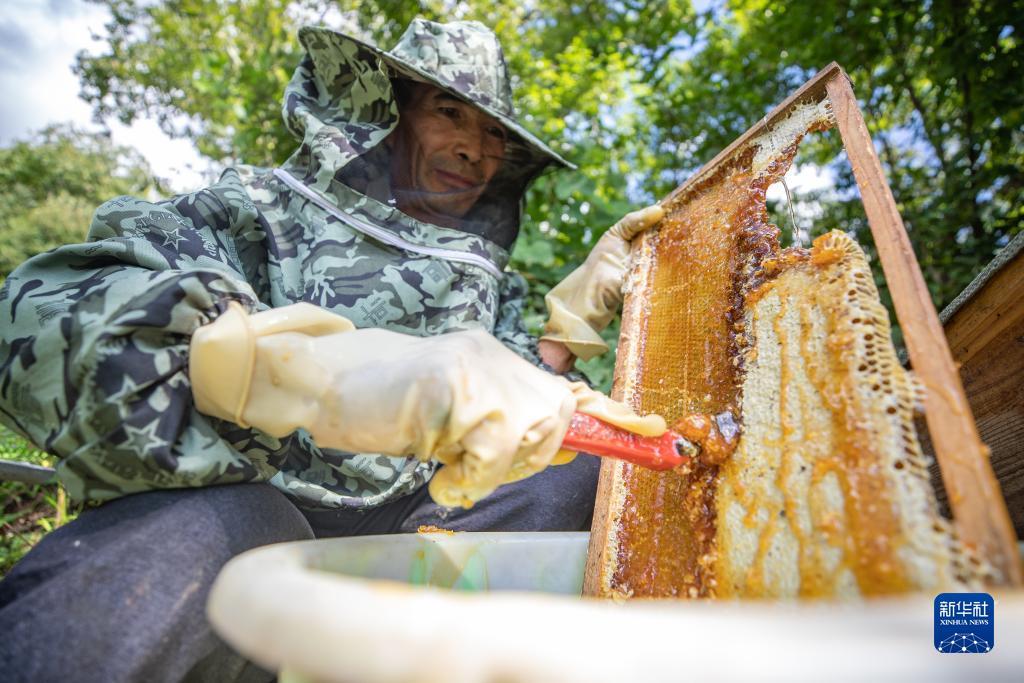 澳洲娱乐网站